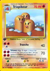 Image de la carte Triopikeur 19/102