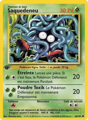 Saquedeneu 66/102