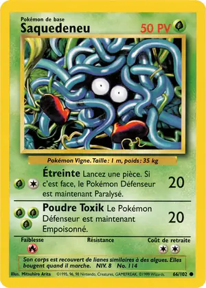 Saquedeneu 66/102