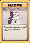 Image de la carte Faux Professeur Chen 73/102