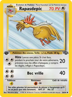 Rapasdepic 36/64
