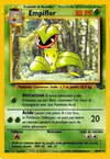 Image de la carte Empiflor 30/64