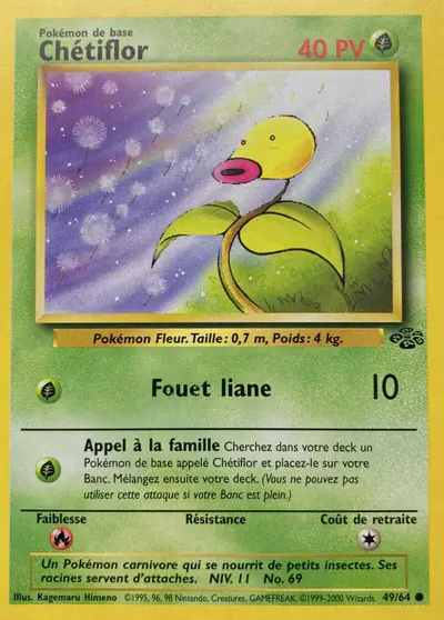 Image de la carte Pokemon Chétiflor 49/64