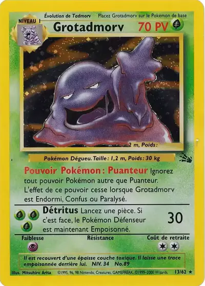 Image de la carte Pokemon Grotadmorv 13/62