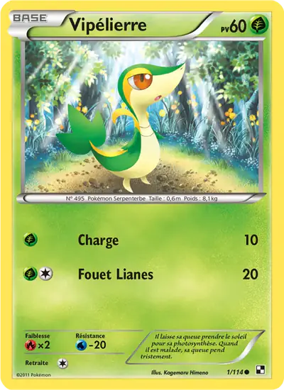 Image de la carte Pokemon Vipélierre 1/114