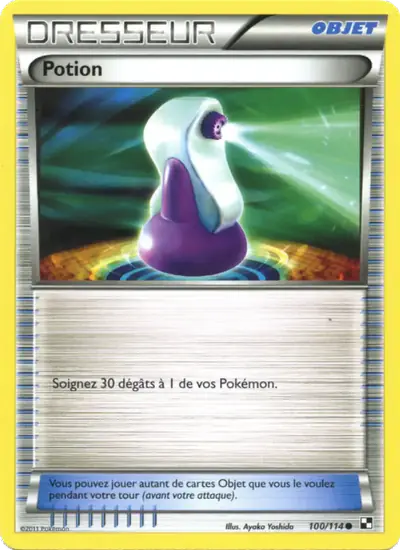 Image de la carte Pokemon Potion 100/114