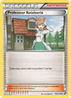 Image de la carte Professeur Keteleeria 101/114