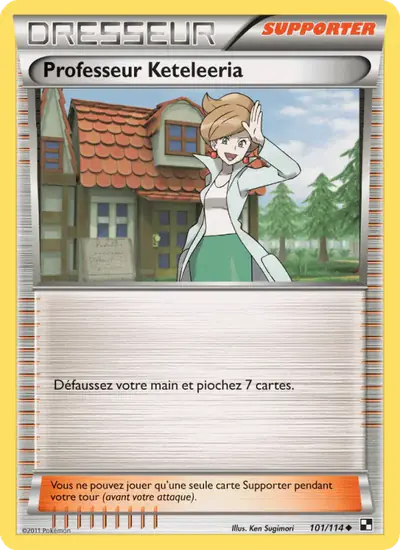 Image de la carte Pokemon Professeur Keteleeria 101/114