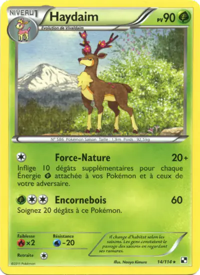 Image de la carte Pokemon Haydaim 14/114