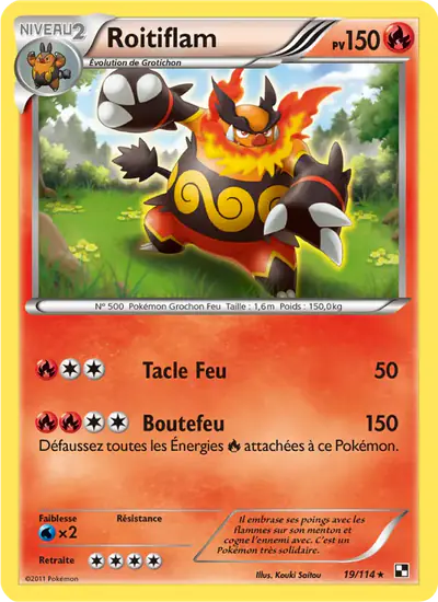 Image de la carte Pokemon Roitiflam 19/114