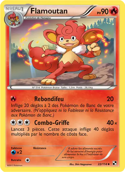 Image de la carte Pokemon Flamoutan 22/114