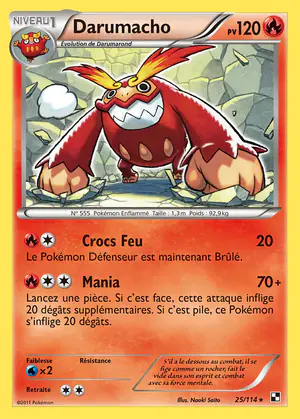 Darumacho 25/114