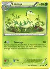 Image de la carte Lianaja 4/114