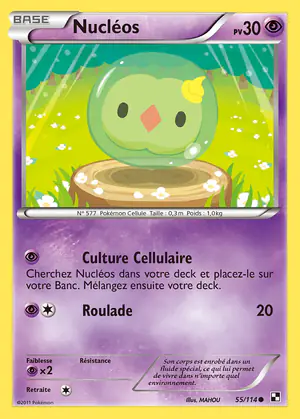 Nucl&eacute;os 55/114