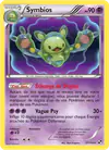 Image de la carte Symbios 57/114