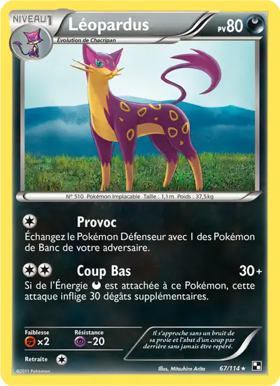 Image de la carte Pokemon Léopardus 67/114