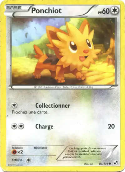 Image de la carte Pokemon Ponchiot 81/114