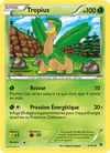 Image de la carte Tropius 5/101