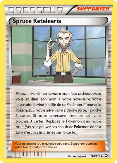 Image de la carte Pokemon Spruce Keteleeria 110/113