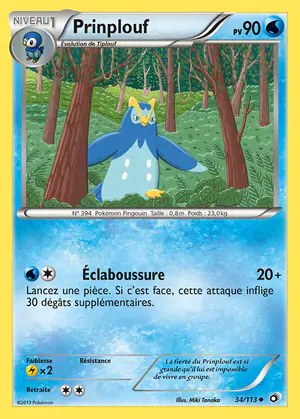 Prinplouf 34/113