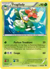 Image de la carte Fragilady 14/98