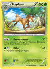 Image de la carte Haydaim 16/98