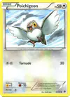 Image de la carte Poichigeon 80/98