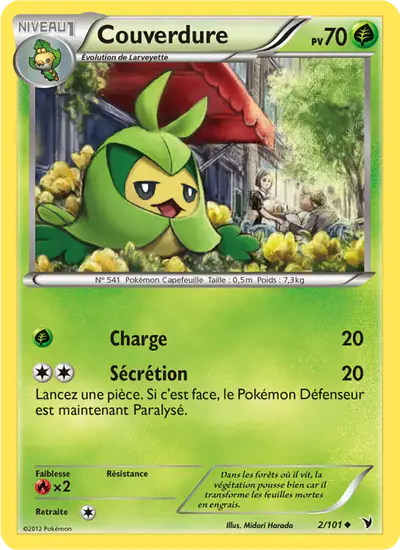 Image de la carte Pokemon Couverdure 2/101