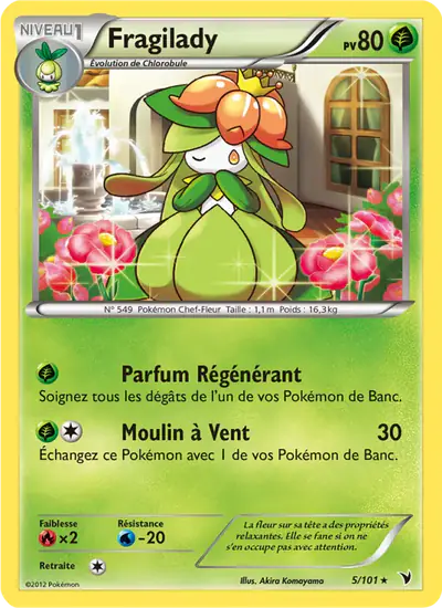 Image de la carte Pokemon Fragilady 5/101