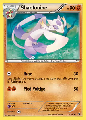 Shaofouine 70/101