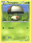 Image de la carte Trompignon 9/101