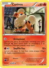 Image de la carte Caninos 10/99