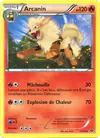Image de la carte Arcanin 13/99
