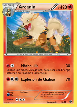 Arcanin 13/99