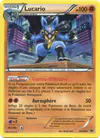 Image de la carte Lucario 64/99