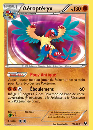 A&eacute;ropt&eacute;ryx 110/108