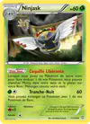 Image de la carte Ninjask 11/124