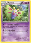 Image de la carte Papinox 47/124