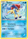 Image de la carte Keldeo 48/149