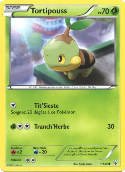 Image de la carte Pokemon Tortipouss 1/135