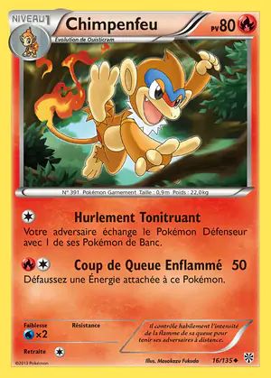 Chimpenfeu 16/135