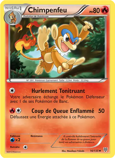 Image de la carte Pokemon Chimpenfeu 16/135