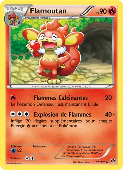 Image de la carte Pokemon Flamoutan 20/135