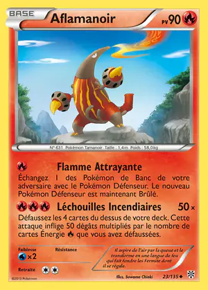 Aflamanoir 23/135
