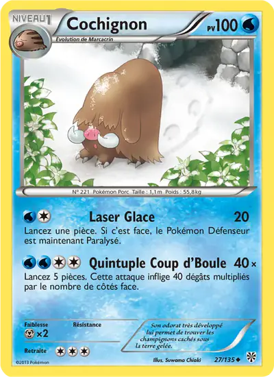 Image de la carte Pokemon Cochignon 27/135