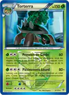 Image de la carte Torterra 3/135