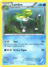 Image de la carte Lombre 30/135