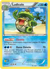 Image de la carte Ludicolo 31/135