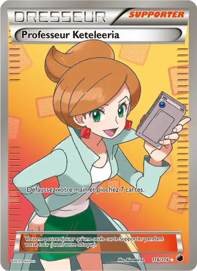 Image de la carte Pokemon Professeur Keteleeria 116/116