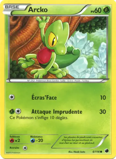 Image de la carte Pokemon Arcko 6/116